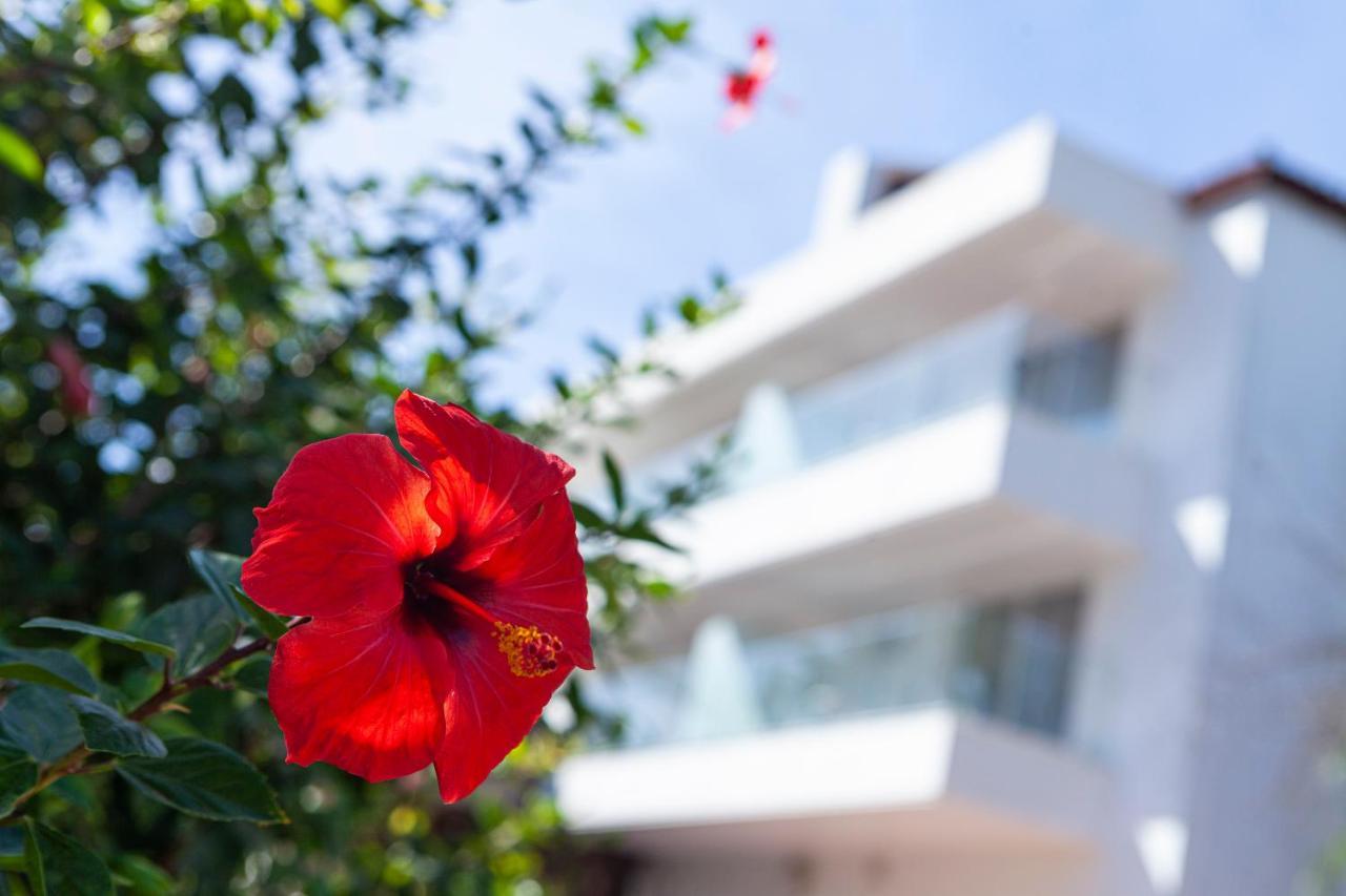 Hotel Jerez & Spa Jerez de la Frontera Luaran gambar